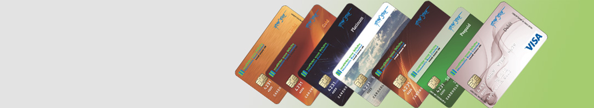 Fees & Charges for Visa Cards